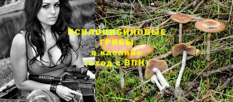 hydra рабочий сайт  Людиново  Псилоцибиновые грибы Magic Shrooms 